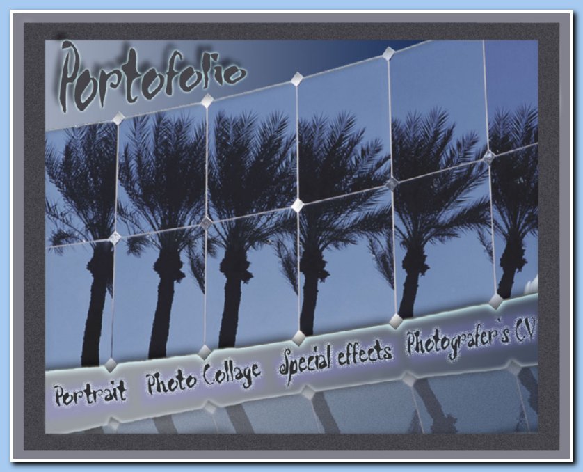 ������ ���������