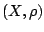 $(X,\rho)$
