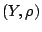 $(Y,\rho)$